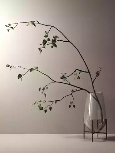 Echasse Vase with Branch 3D model