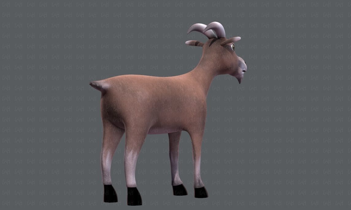 Goat V01 Low-poly 3D model_4