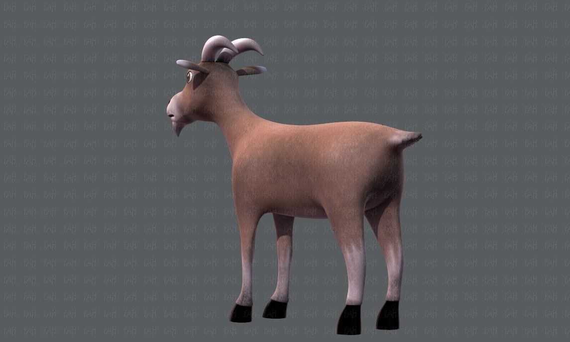 Goat V01 Low-poly 3D model_6