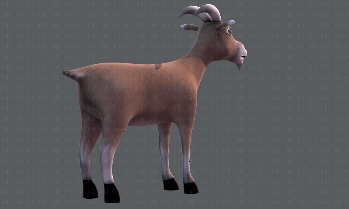 Goat V01 Low-poly 3D model_39