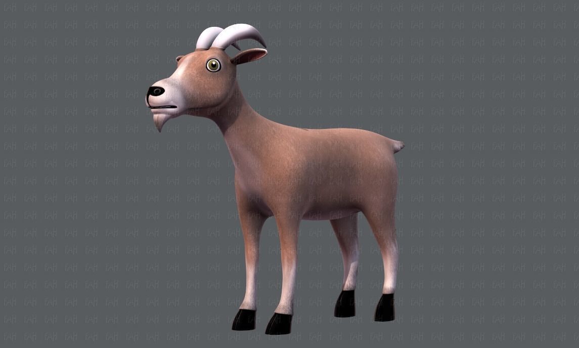 Goat V01 Low-poly 3D model_8