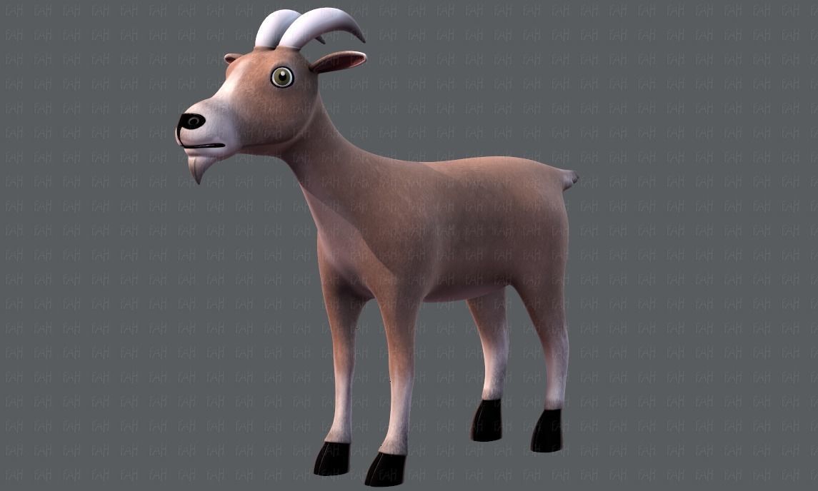 Goat V01 Low-poly 3D model_37