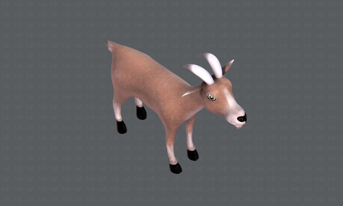 Goat V01 Low-poly 3D model_18