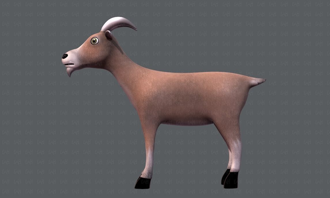 Goat V01 Low-poly 3D model_7
