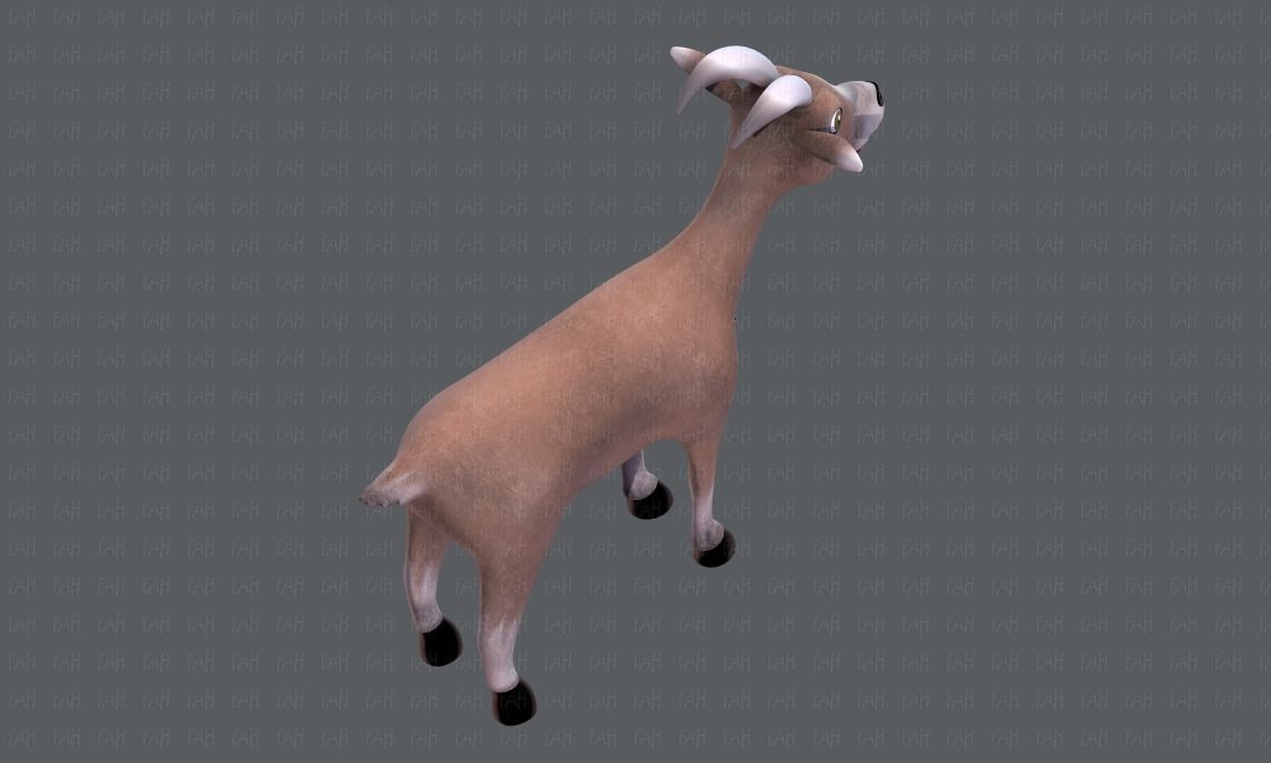 Goat V01 Low-poly 3D model_20