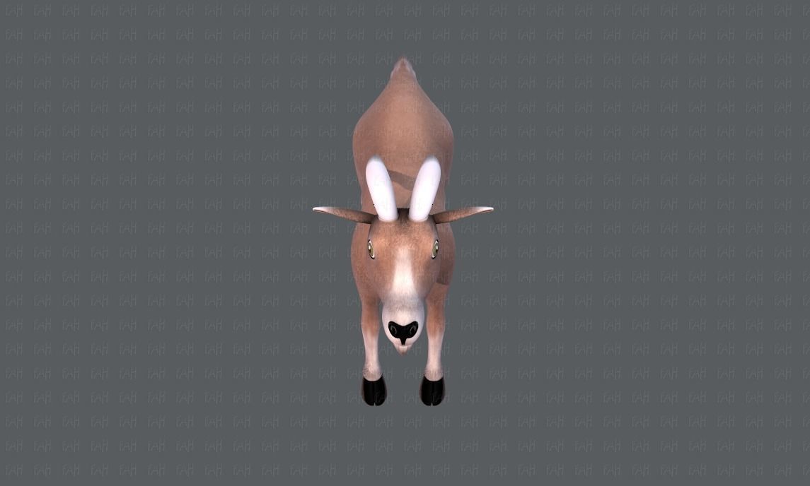Goat V01 Low-poly 3D model_17