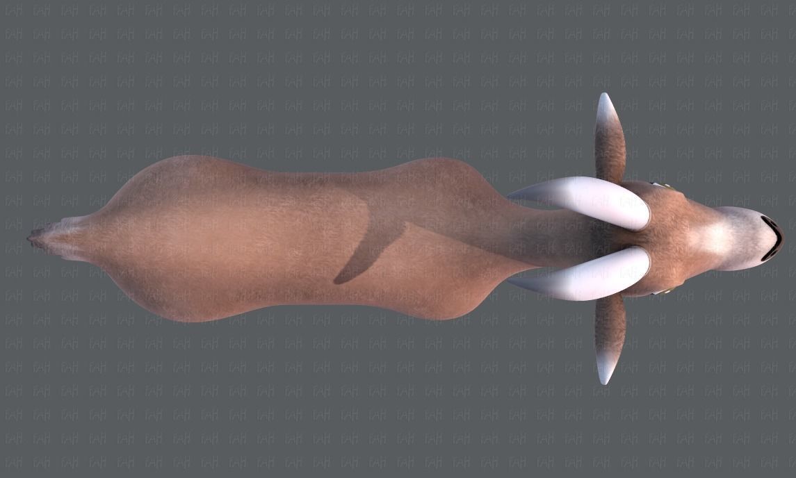 Goat V01 Low-poly 3D model_33