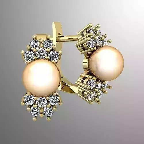 Earrings 49