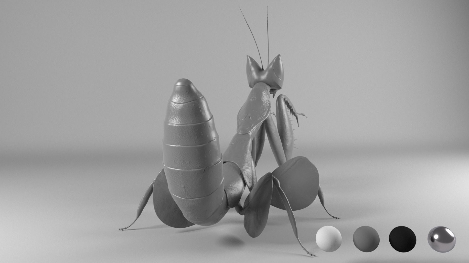 Mantis praying 3D model_2