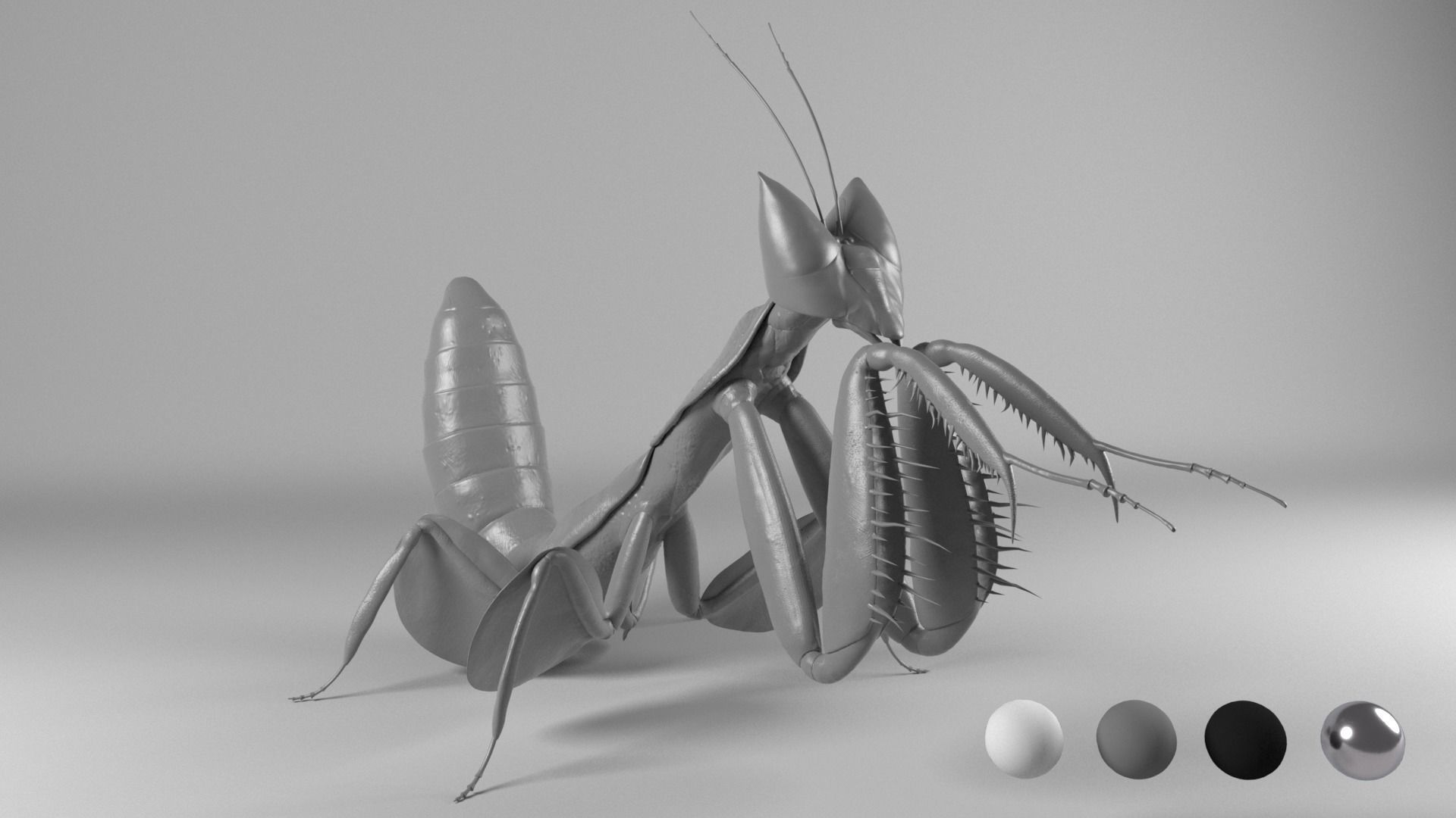 Mantis praying 3D model_1