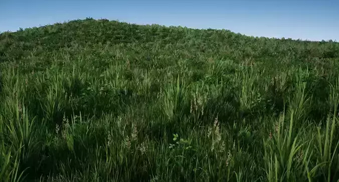 Realistic Grass Pack 01 Low-poly 3D model