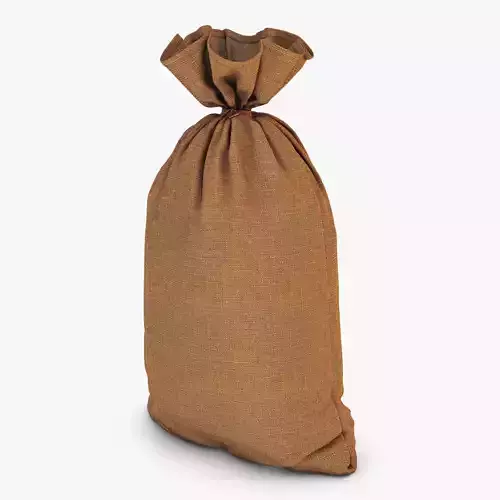 Sack v 1 bag 3D model