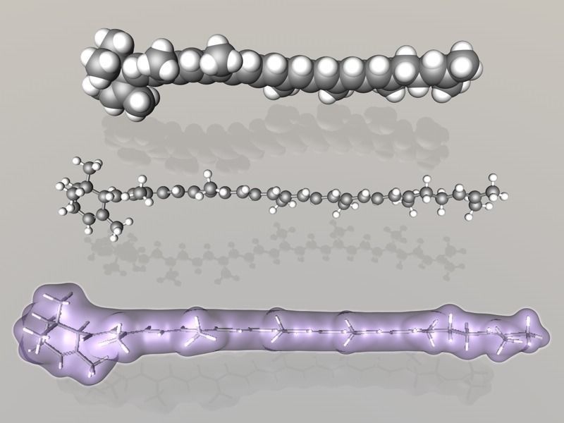 Collection of carotene molecules 3D model_20