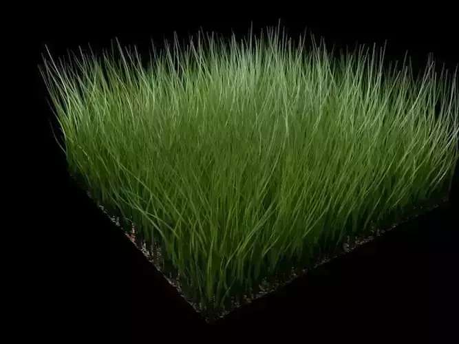 Grass and Wind Low-poly 3D model