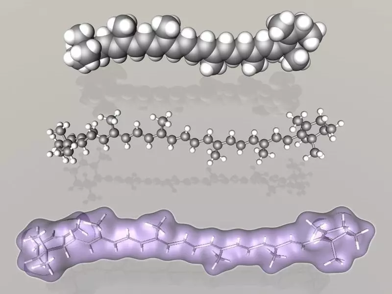 alpha-Carotene molecule 3D model_0