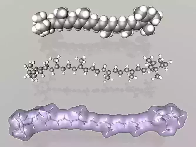 alpha-Carotene molecule 3D model