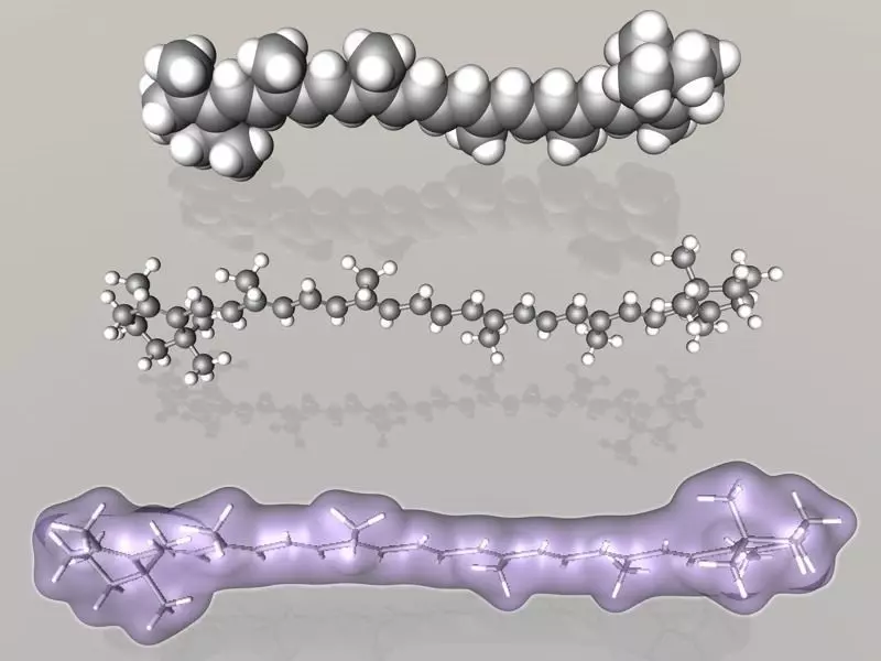 gamma-Carotene molecule 3D model_0