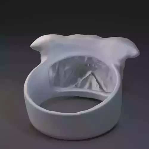 Ring with dog face