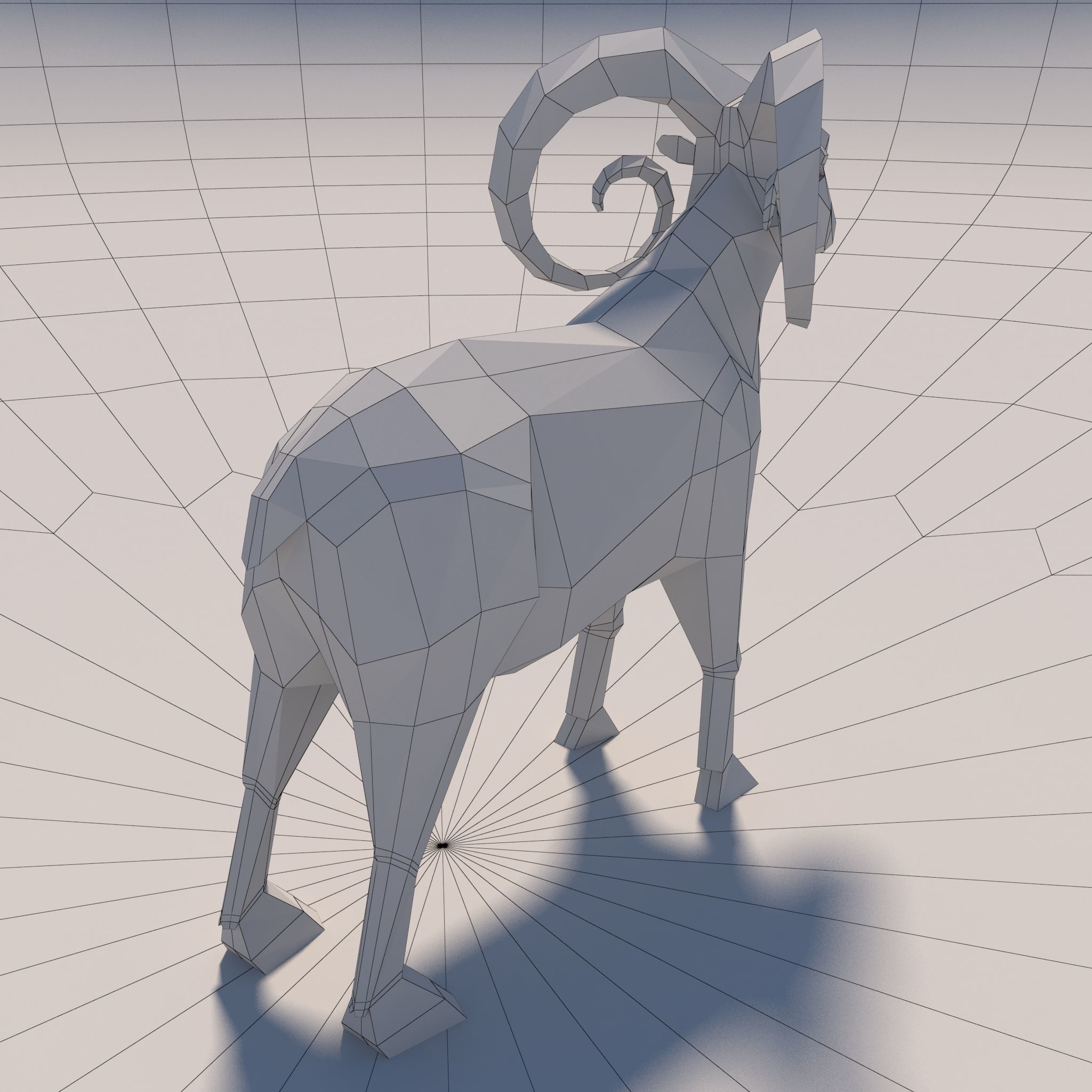 Game Ready Low-Poly Goat polygonal sheep Low-poly 3D model_10