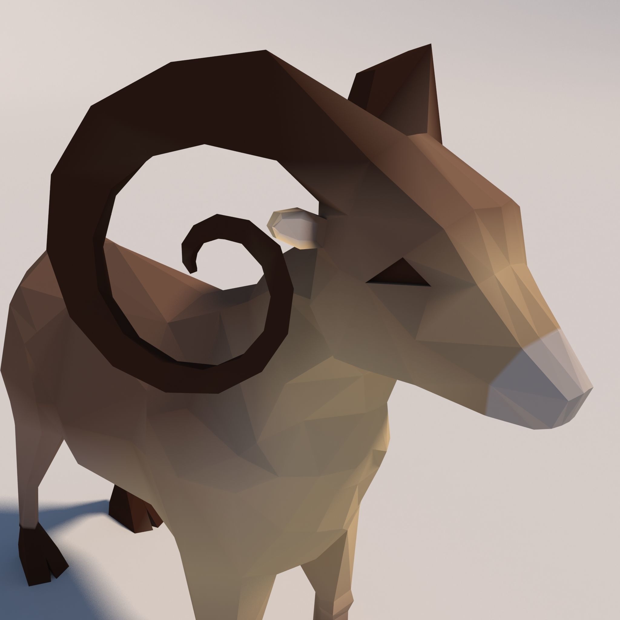 Game Ready Low-Poly Goat polygonal sheep Low-poly 3D model_15