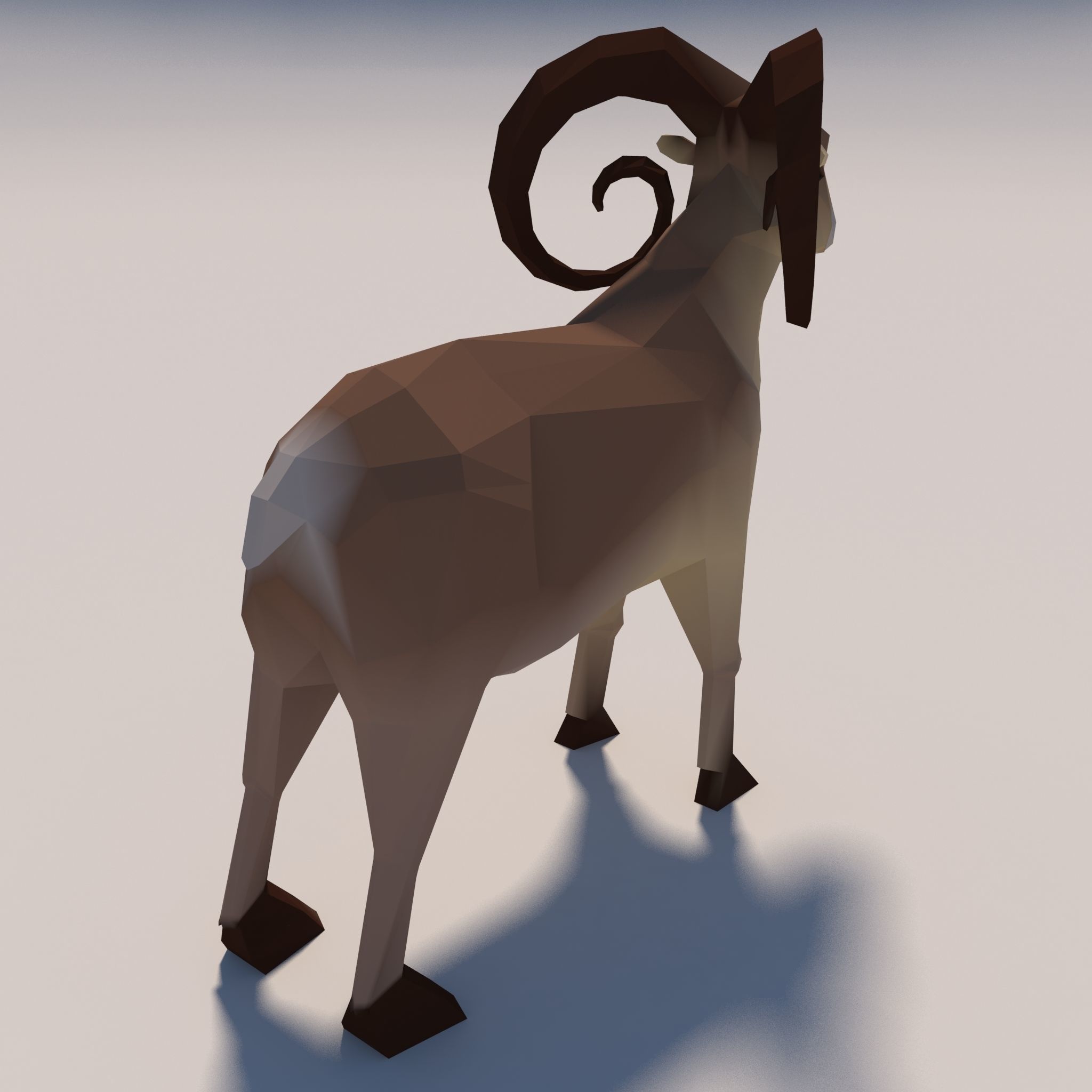 Game Ready Low-Poly Goat polygonal sheep Low-poly 3D model_9