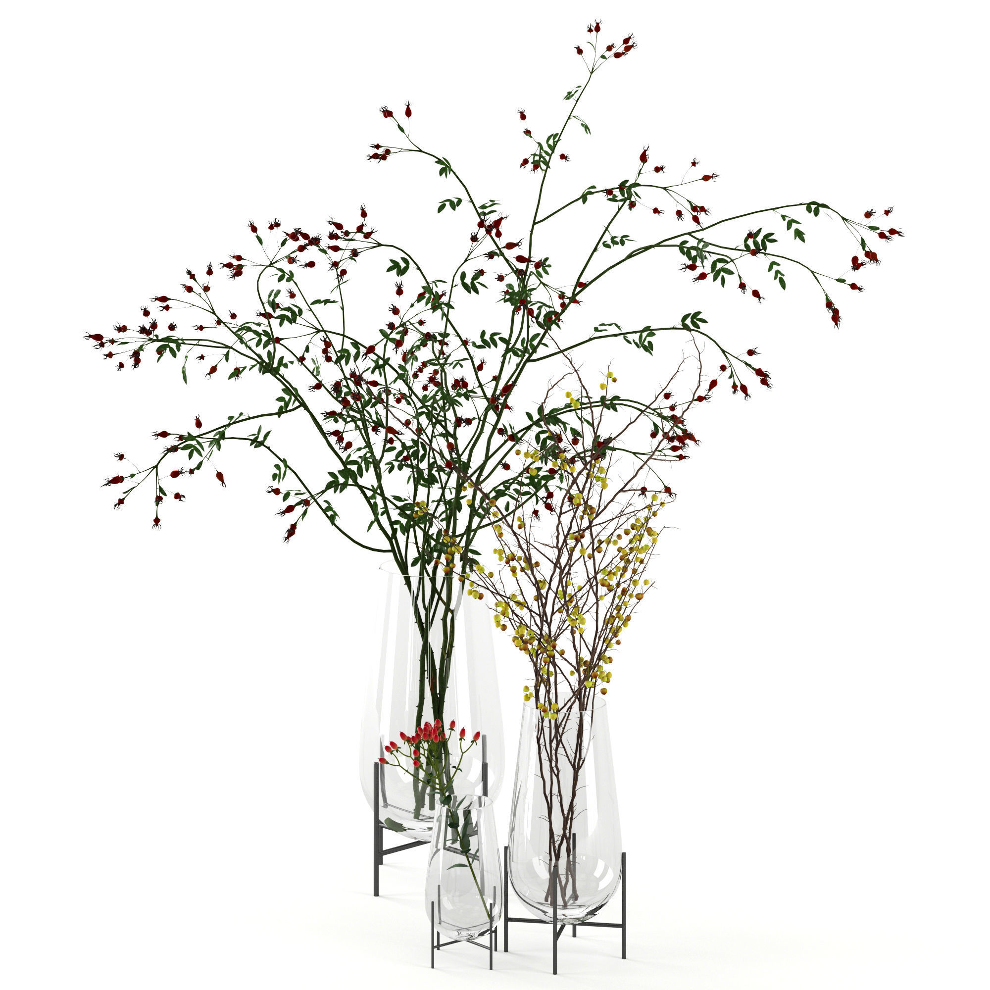 Twigs in Echasse Vases 3D model_3