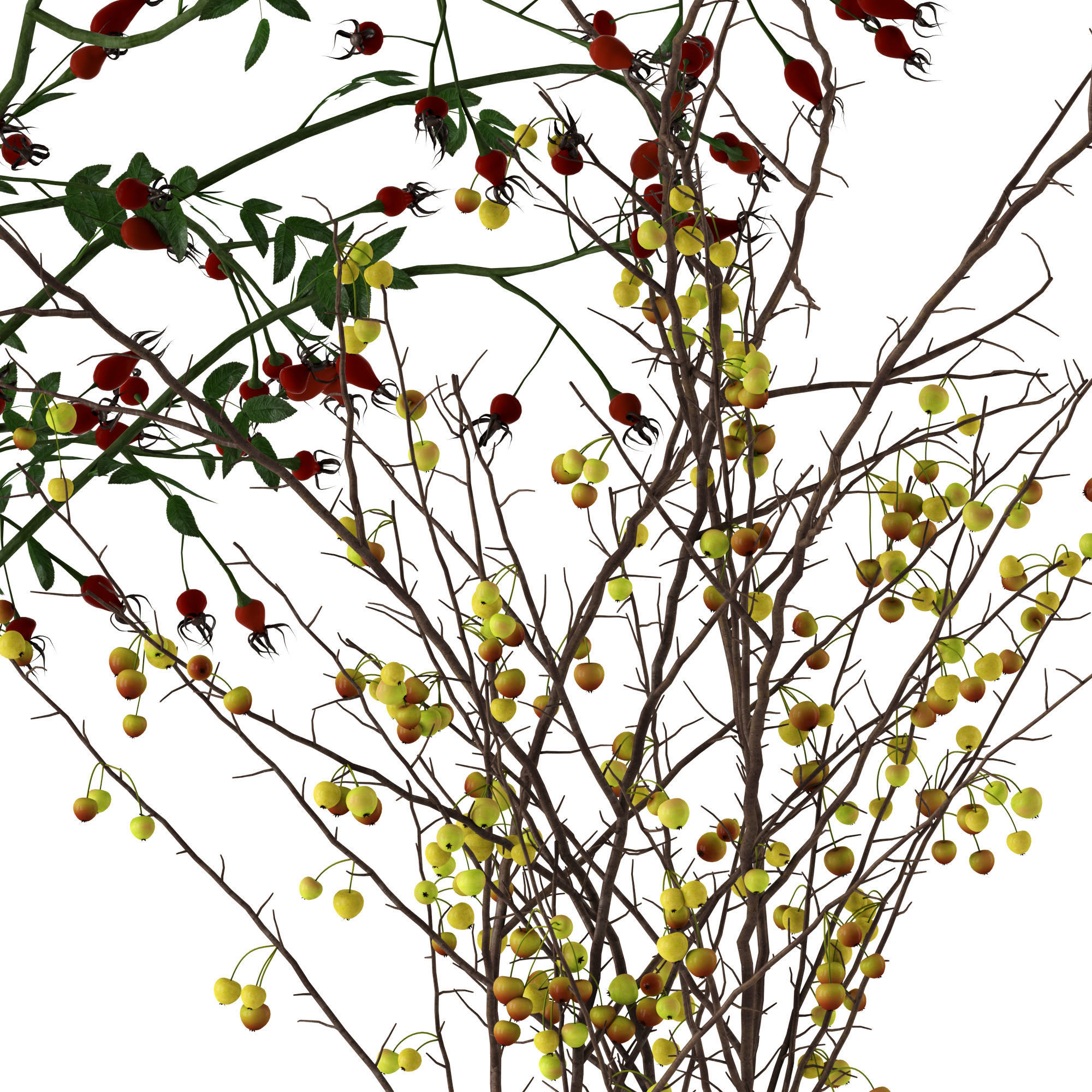 Twigs in Echasse Vases 3D model_5