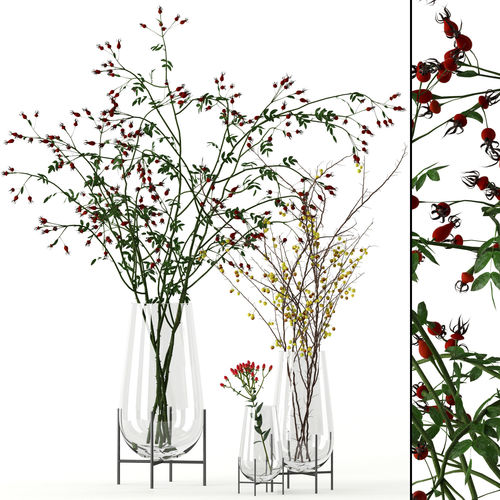 Twigs in Echasse Vases 3D model