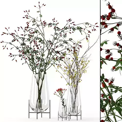 Twigs in Echasse Vases 3D model