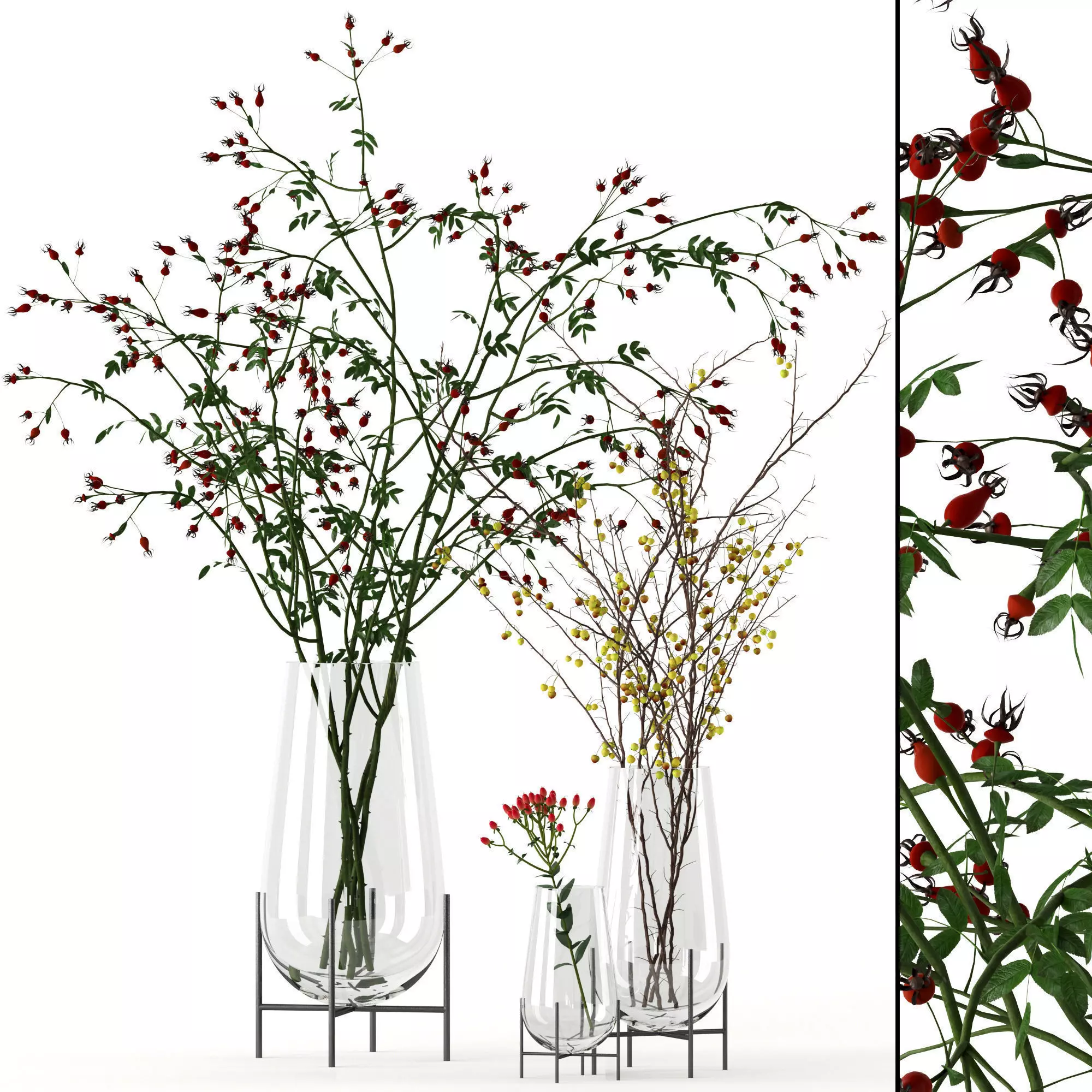 Twigs in Echasse Vases 3D model_0