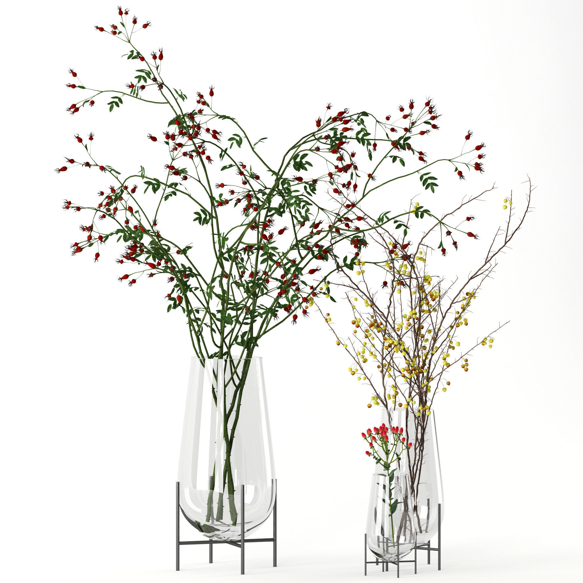 Twigs in Echasse Vases 3D model_2