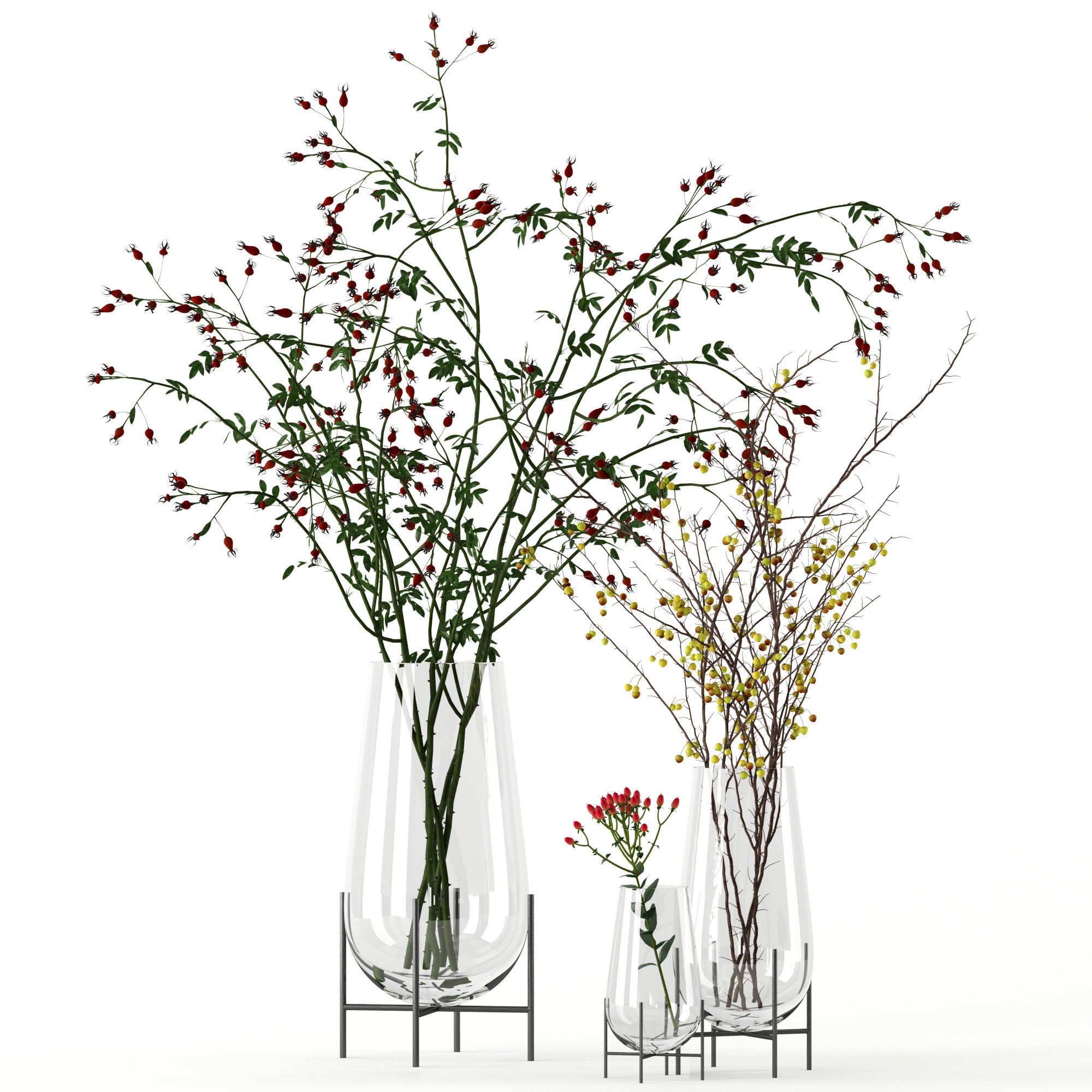 Twigs in Echasse Vases 3D model_1