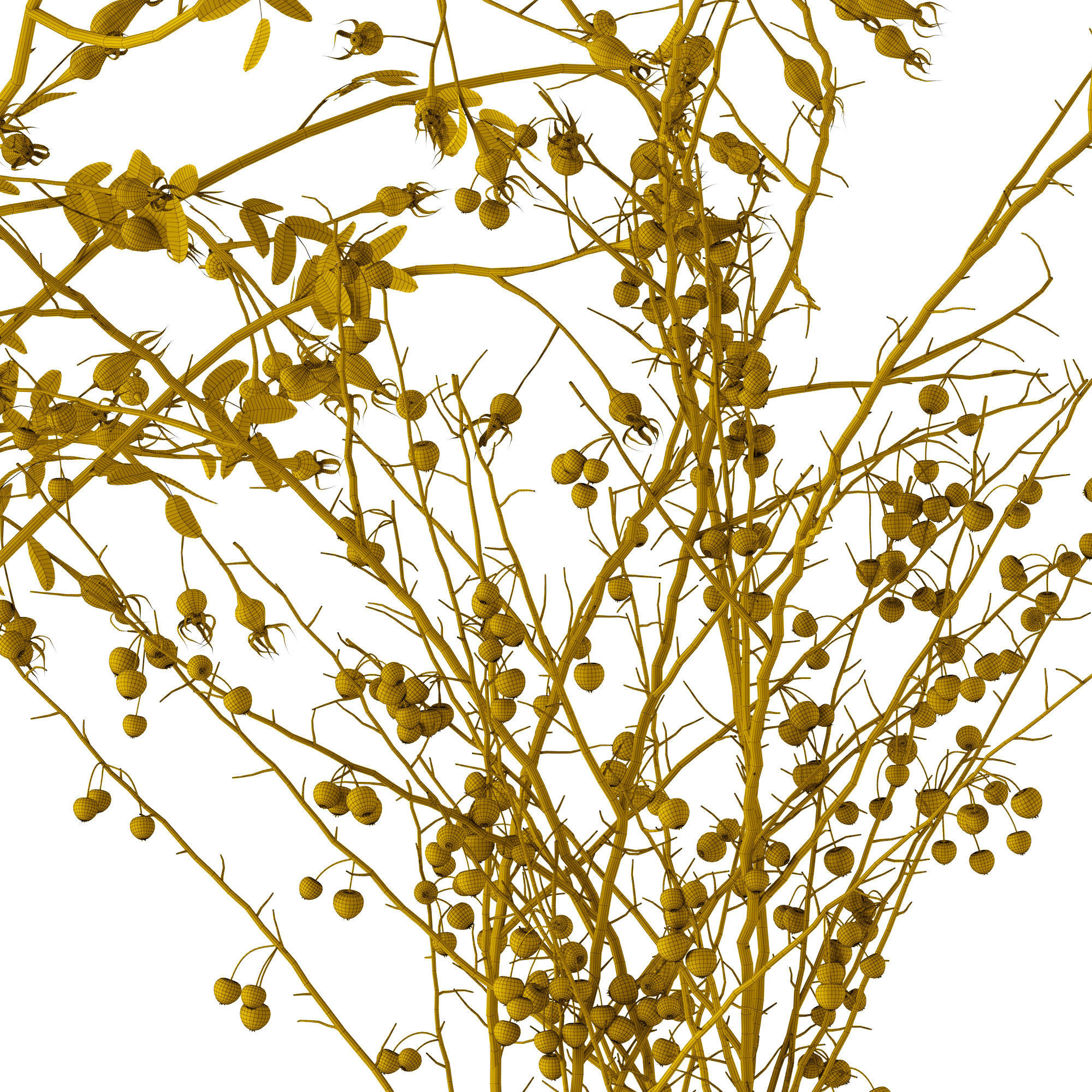 Twigs in Echasse Vases 3D model_8