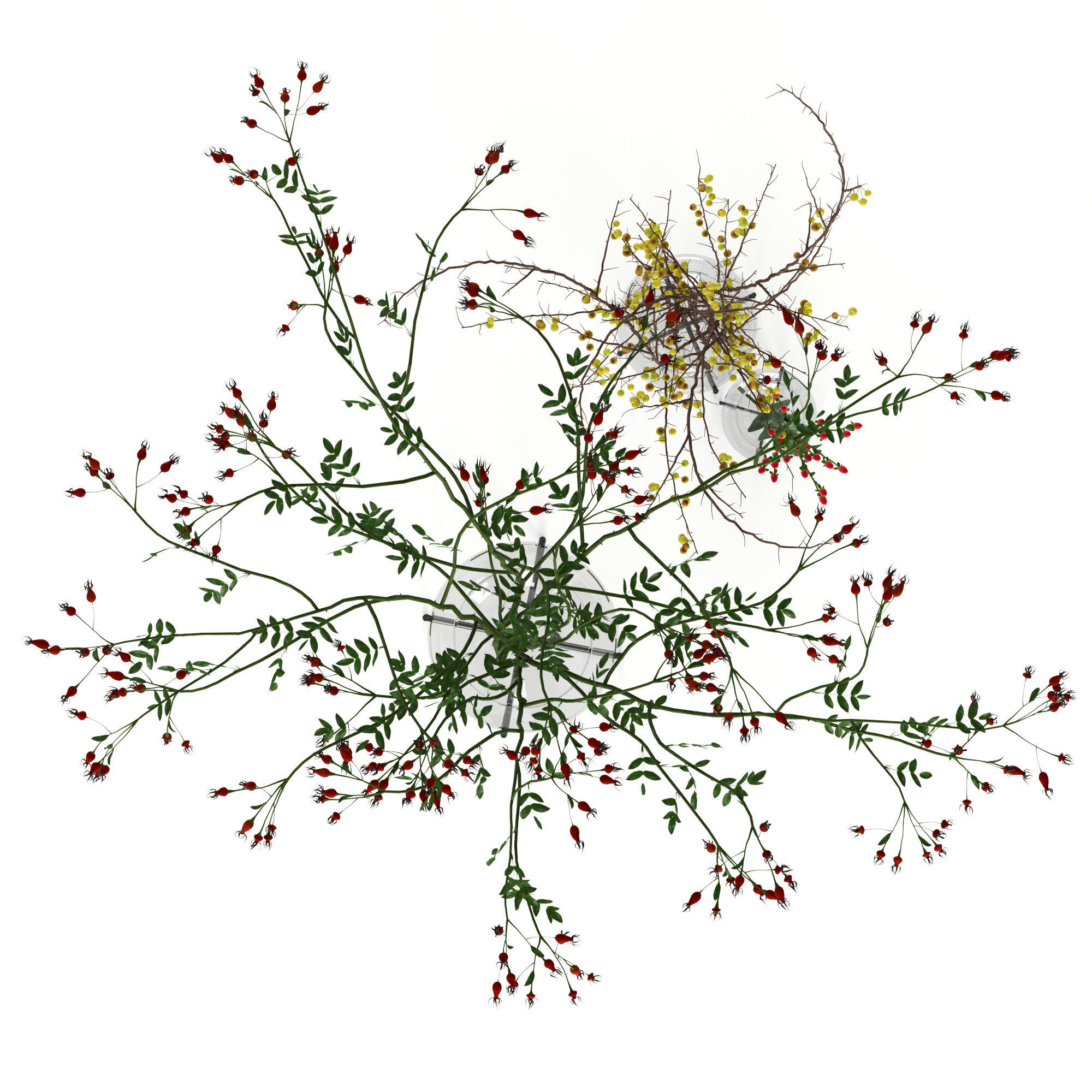 Twigs in Echasse Vases 3D model_4