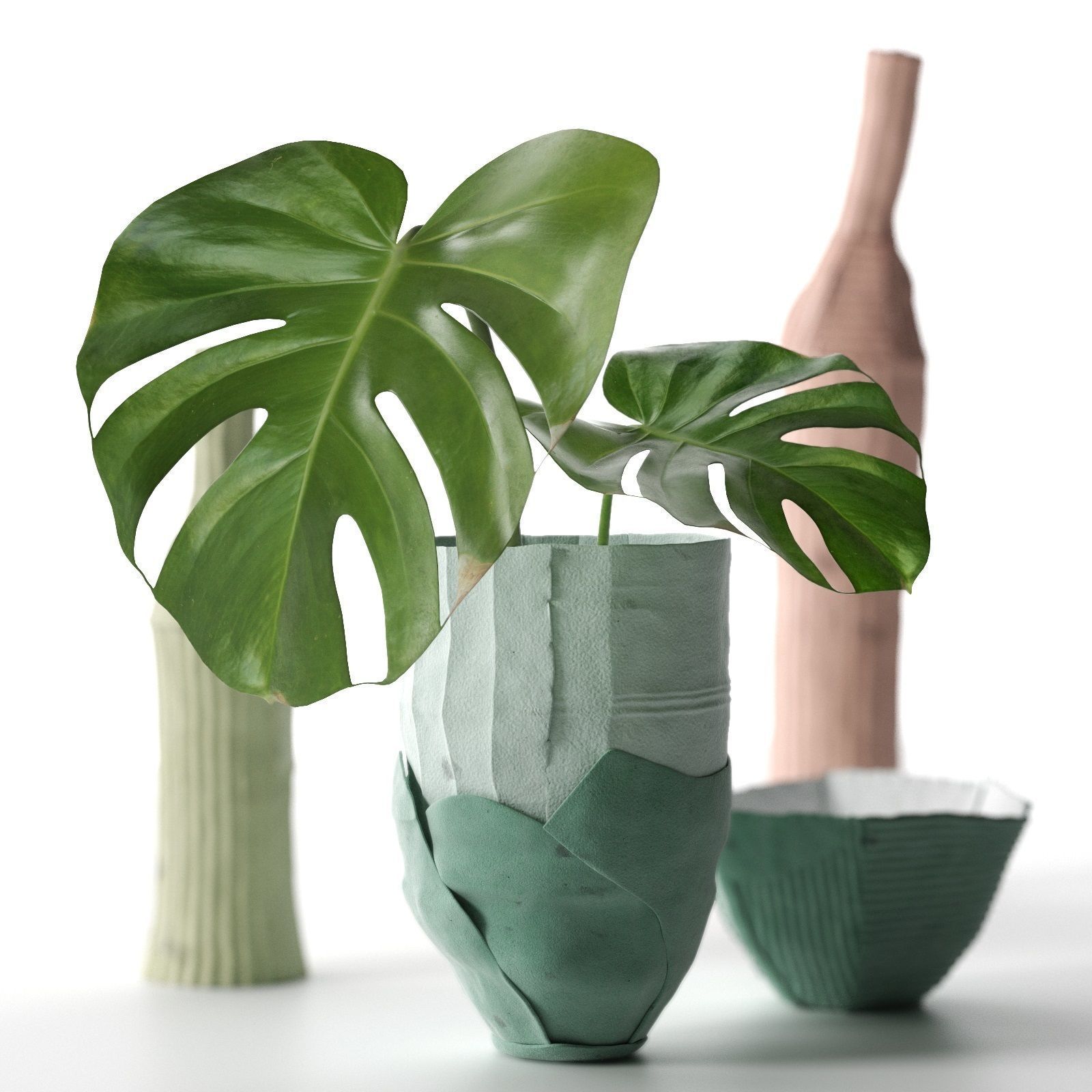 Paper Clay Vases with Monstera 3D model_1