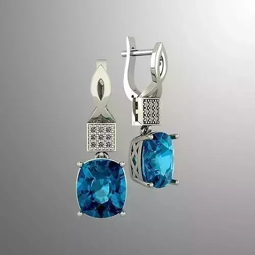 Earrings 52