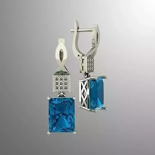 Earrings 54