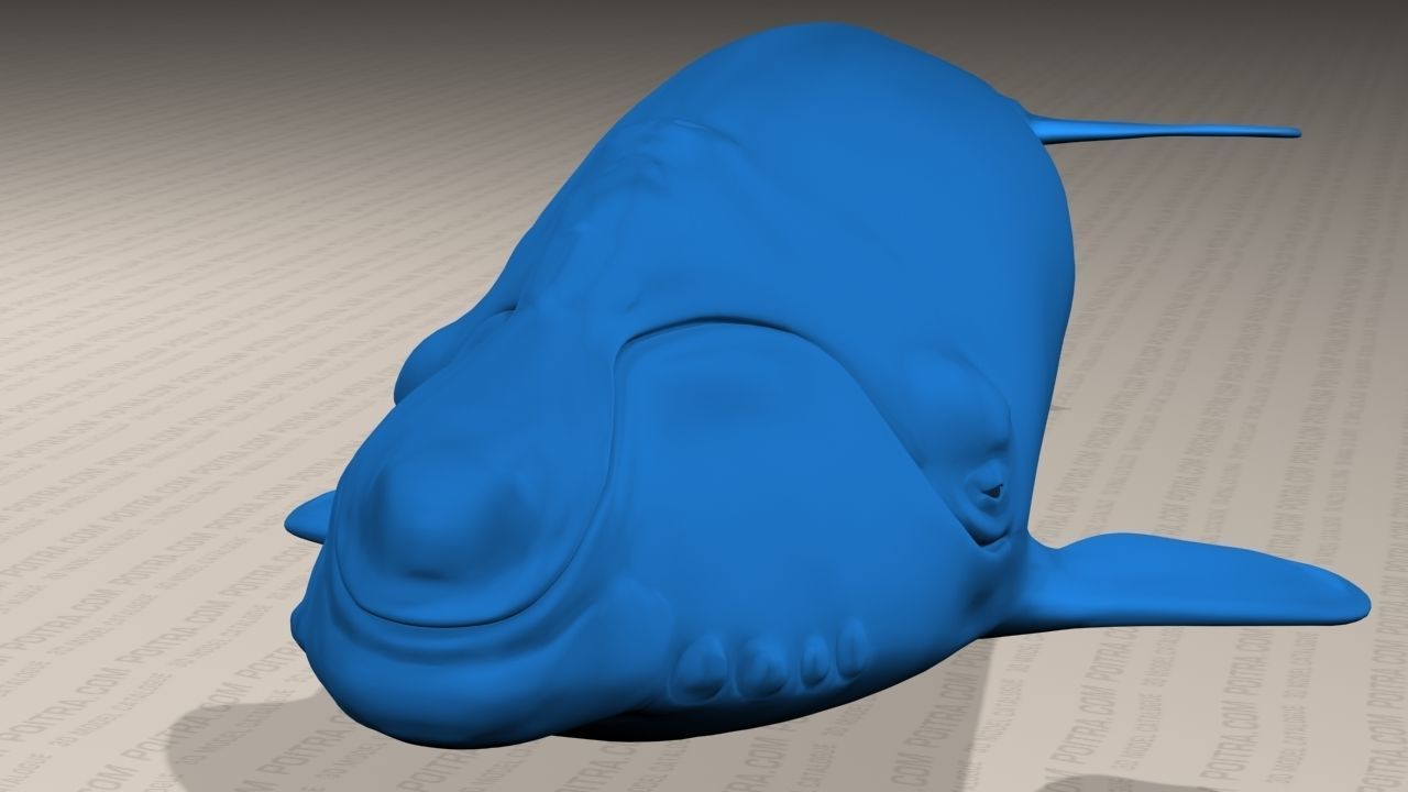 Northern Right Whale - Eubalaena Glacialis - Adult Male -  3D model_10
