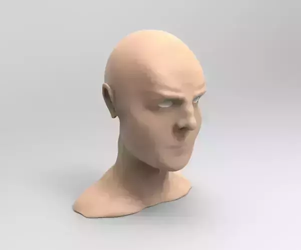 Old male head sculpt