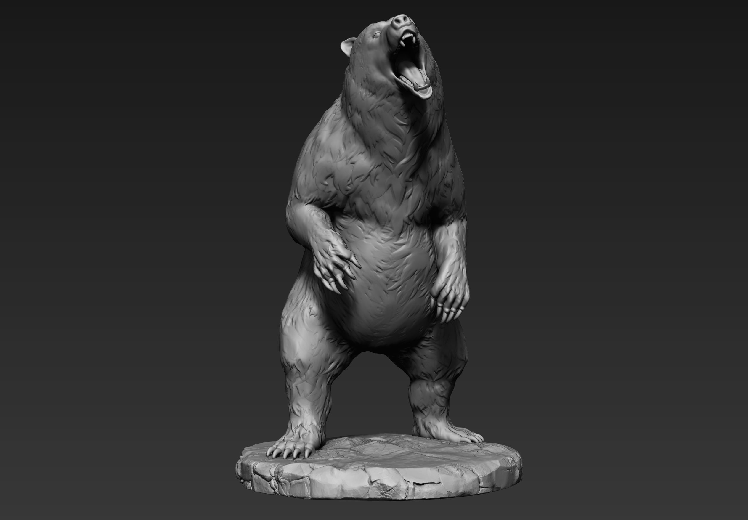 Zbrush Bear 3D model_3