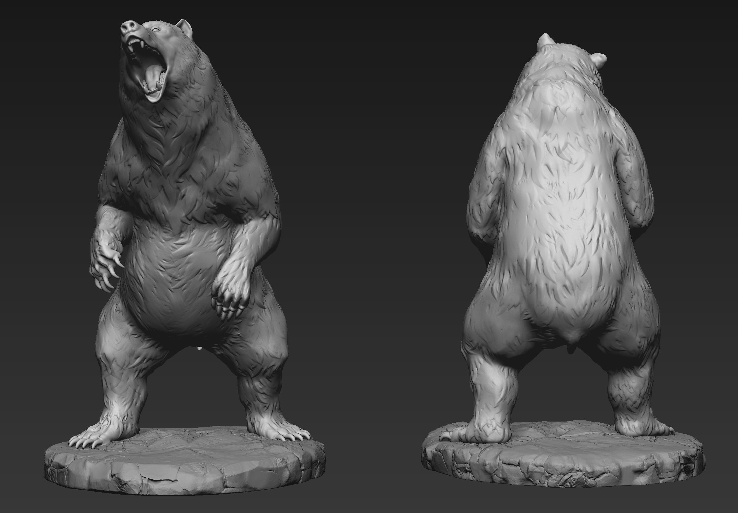 Zbrush Bear 3D model_5