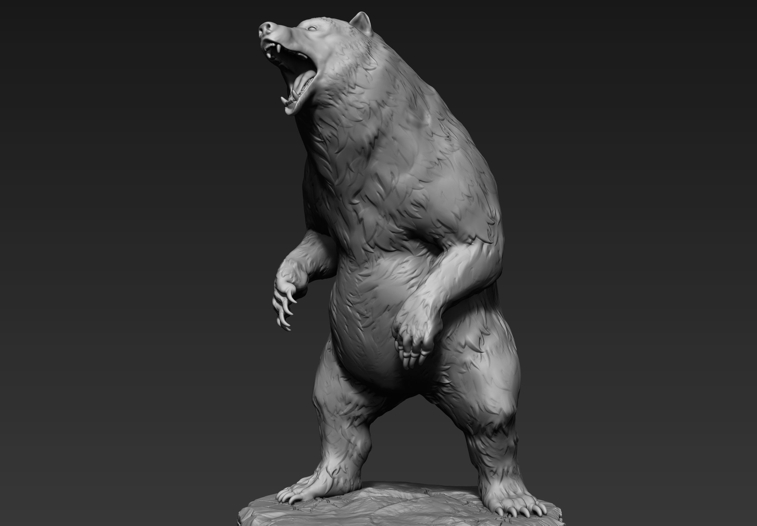 Zbrush Bear 3D model_1