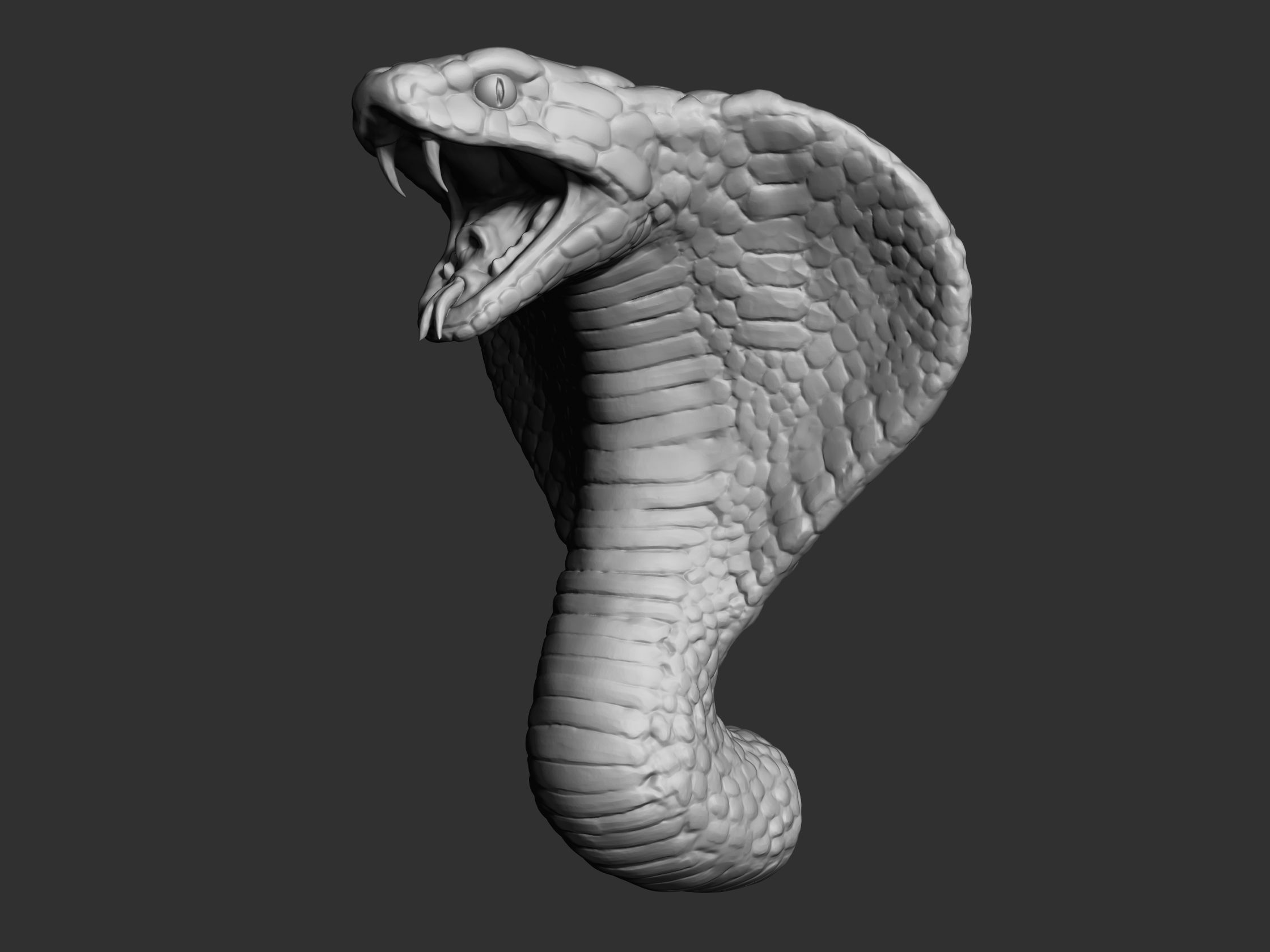Cobra Head 3D model_2