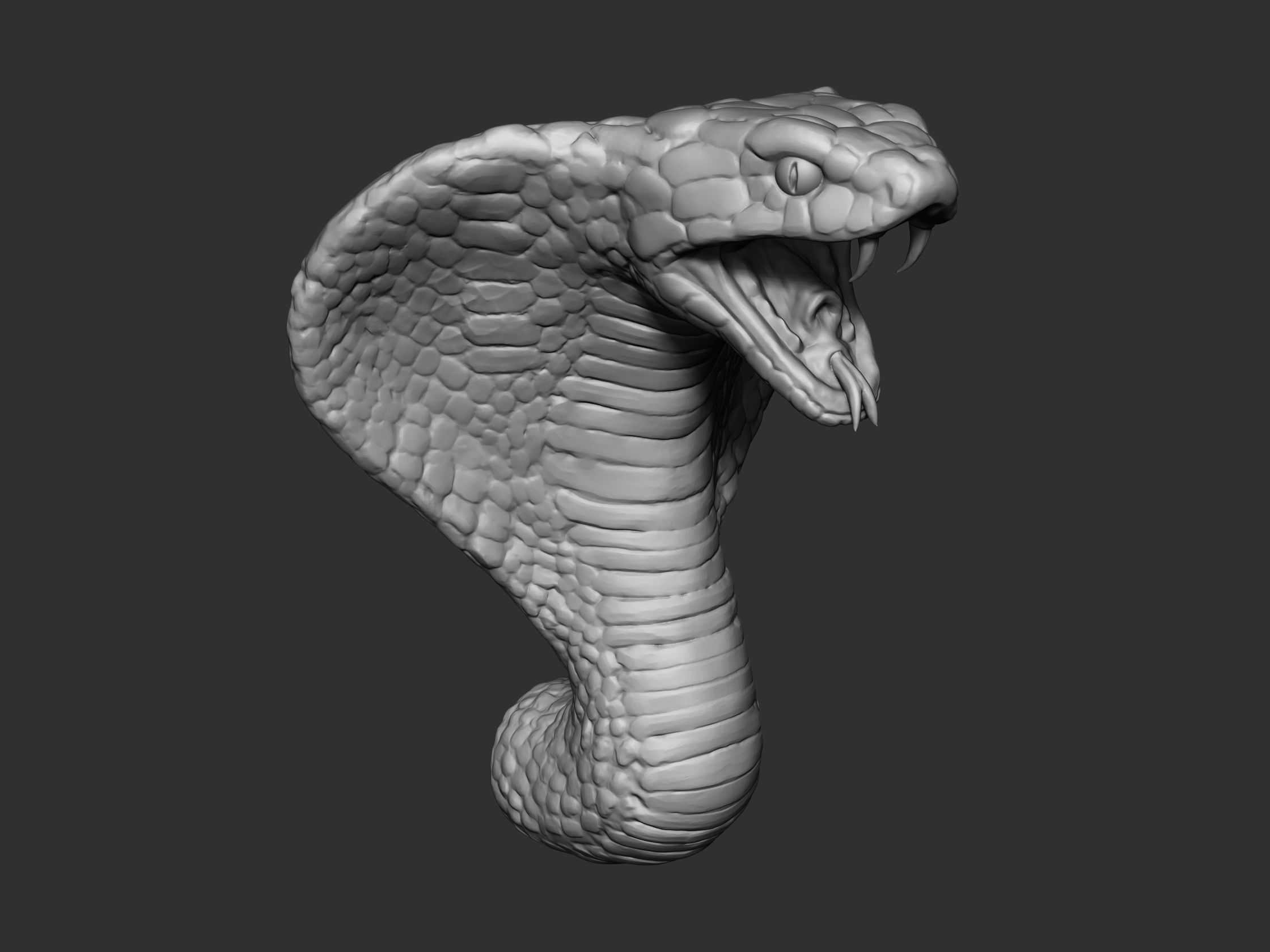 Cobra Head 3D model_3