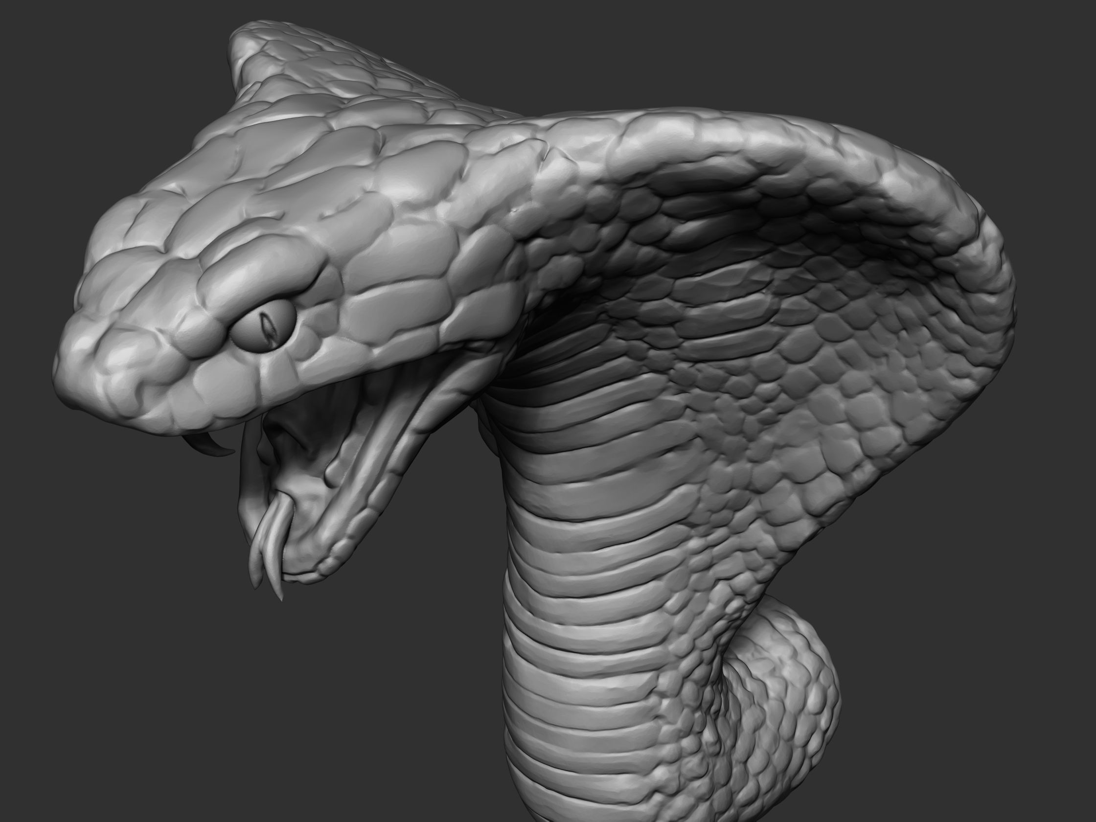 Cobra Head 3D model_6