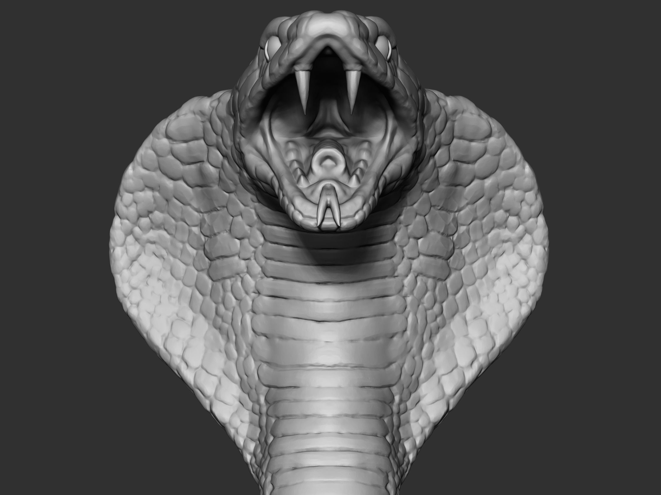 Cobra Head 3D model_7