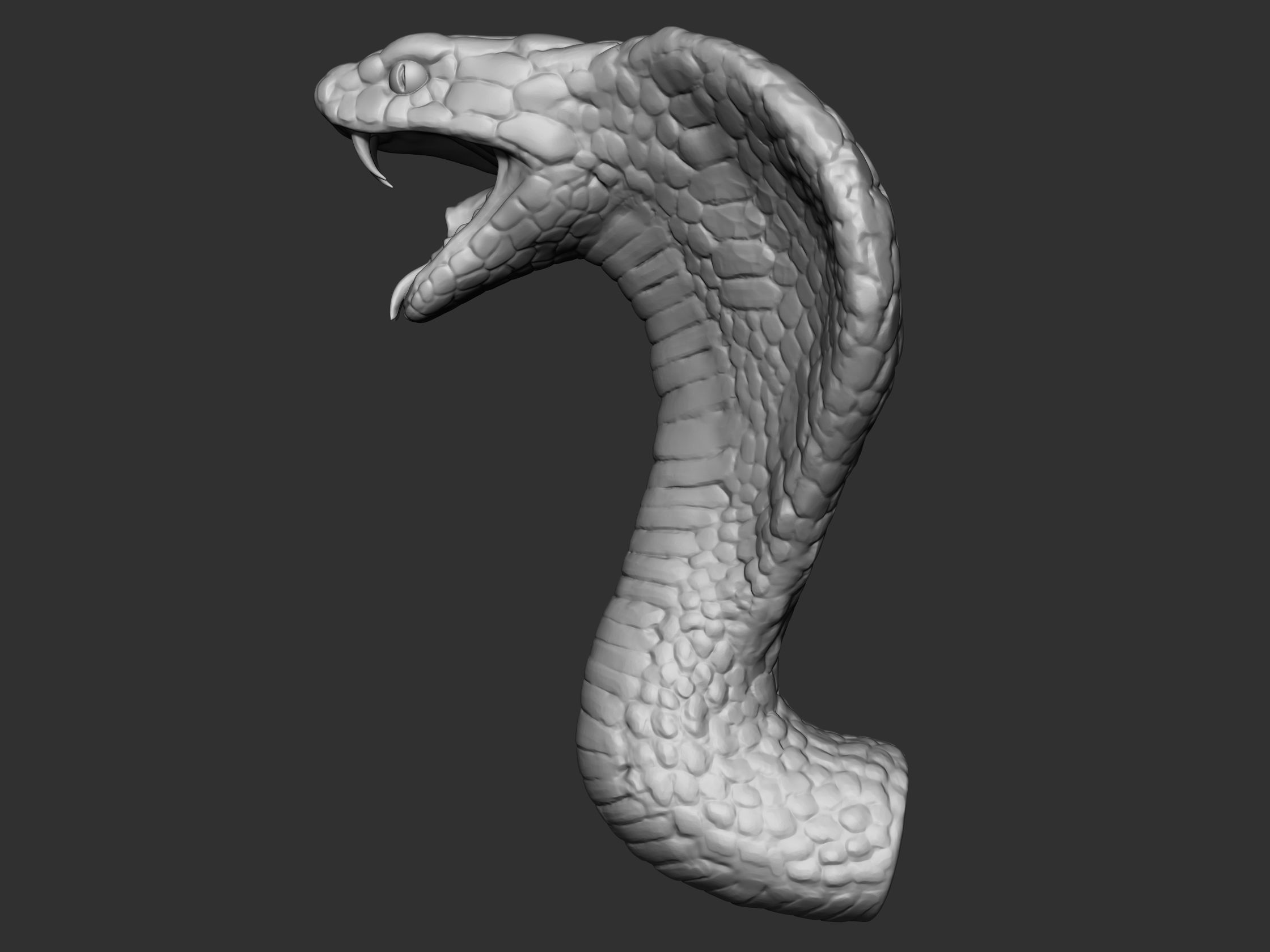 Cobra Head 3D model_5