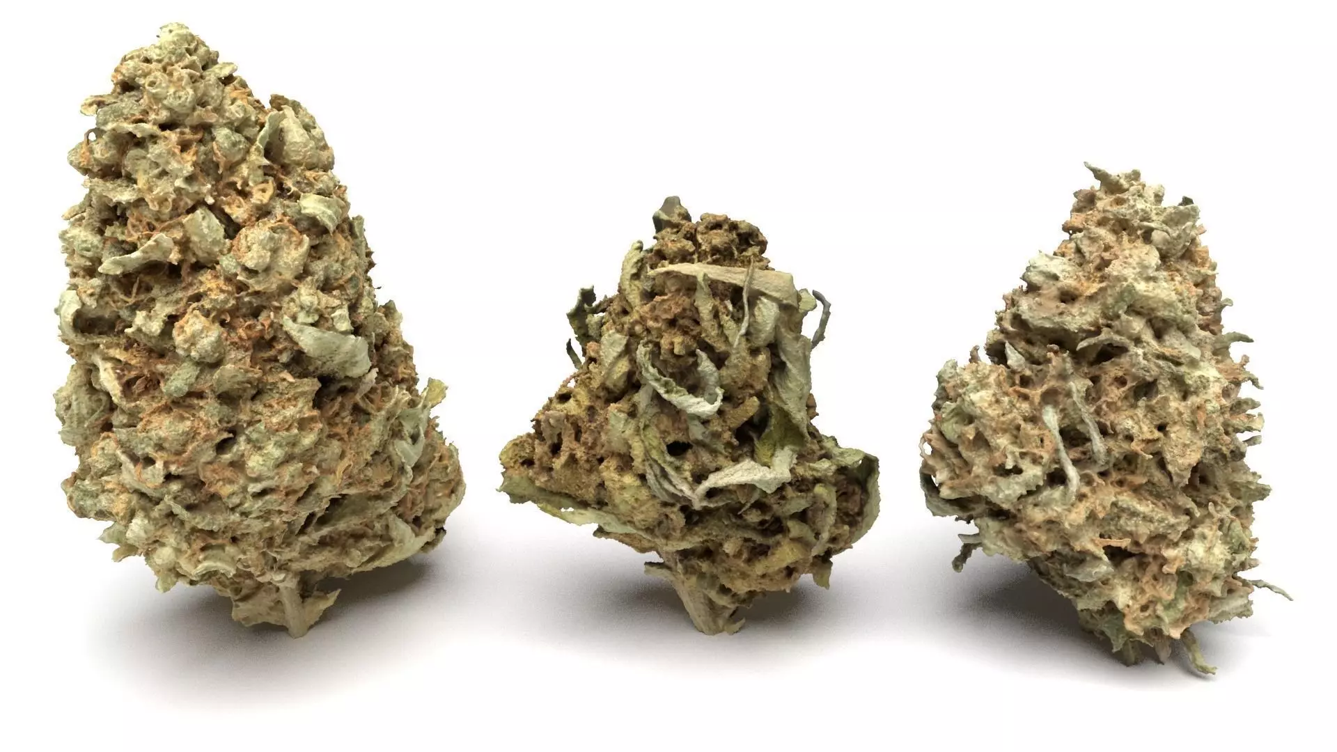 Cannabis Buds 3-Pack 3D Model Collection_0