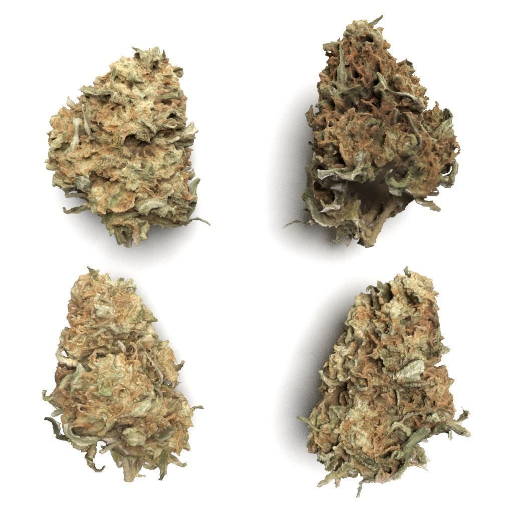 Cannabis Buds 3-Pack 3D Model Collection_4