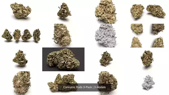 Cannabis Buds 3-Pack